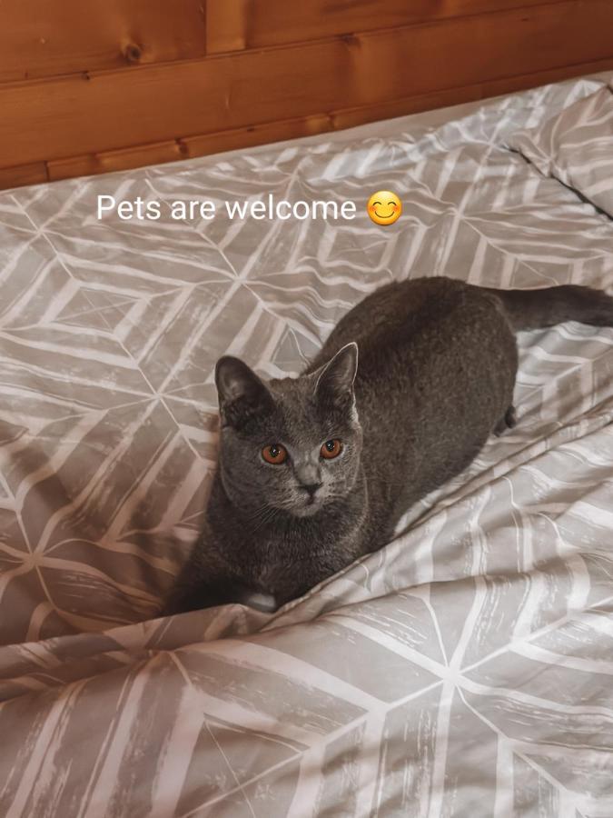 Apartment Hm ゴズ・マルチュリェク エクステリア 写真